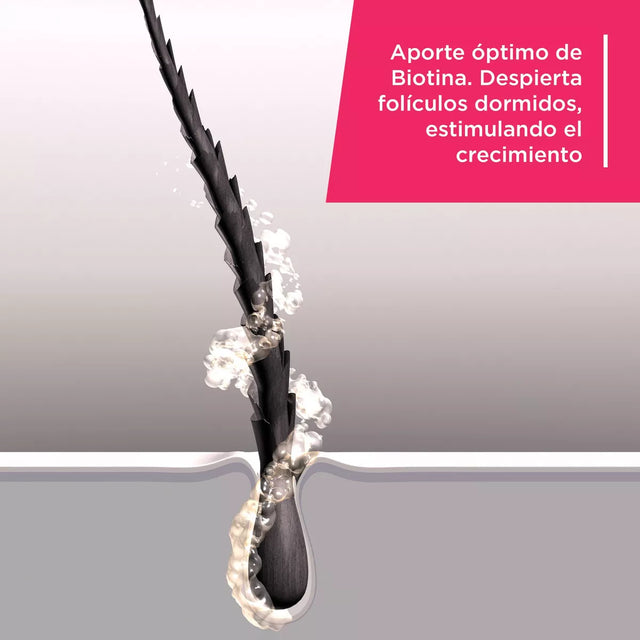 Aminoter D | Suplemento Alimenticio con 30 cápsulas | Fortalece Huesos y el Sistema Inmunológico